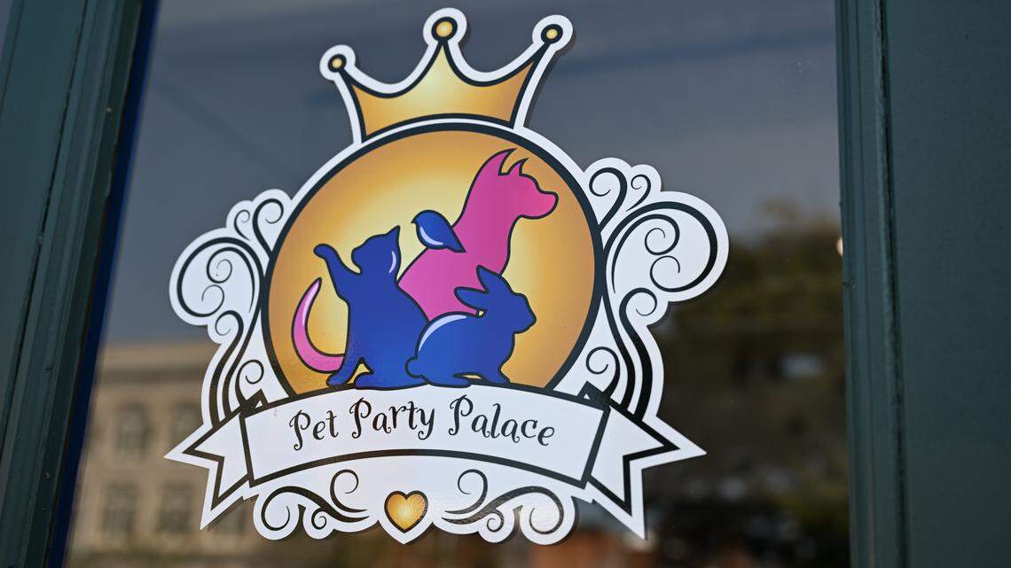 New downtown Macon pet venue treats animals like royalty. See inside.