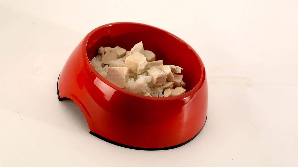 Chef Bryant Ng makes Teddy’s Chicken and Rice pet food for his Yorkshire terrier and other dogs.
