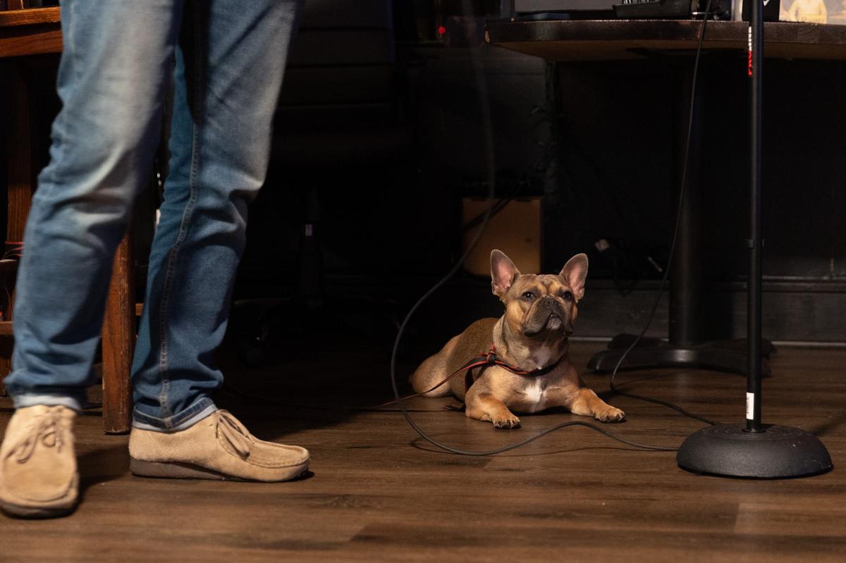Karaoke host Peter Revard’s dog, Mr. Hanky, watches patrons sing in Tuesday night karaoke at T & Jay’s Bar on Tuesday, May 14, 2024, in Macon, Georgia. The newly opened bar off of Zebulon Road honors the memory of Macon local J-Fly, who died of cancer in 2022.