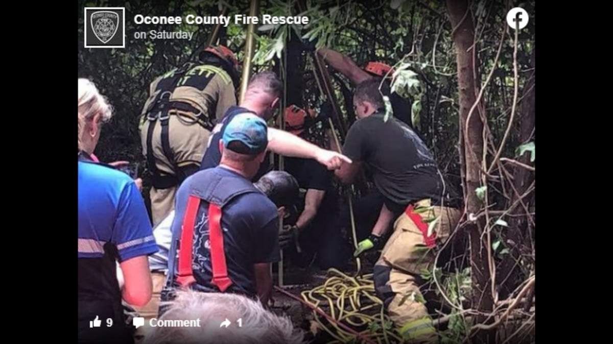 Firefighters from two Georgia agencies worked together to rescue the trapped dog, officials said.