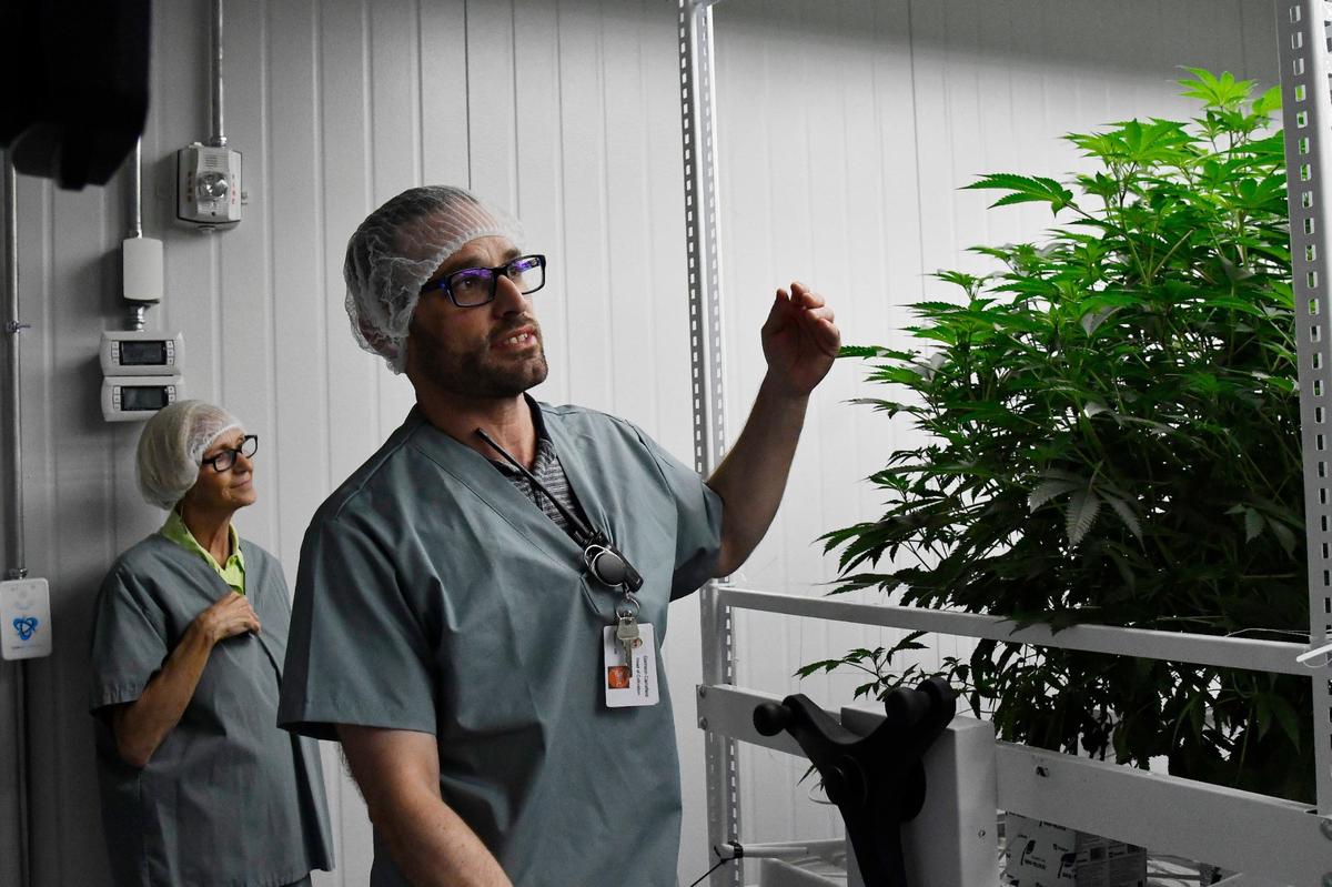 Garrison Carrafield (right) shares information about the cannabis plants with tour participants as Mary Adams (left) listens on Wednesday, May 29, 2024, at the Fine Fettle cannabis cultivation and extraction facility in Macon, Georgia. Fine Fettle aims to bring medical marijuana production to Georgia and is set to open six dispensaries around the state, including in Macon. Fine Feetle cannabis growth, THC extraction, product creation and packaging for Georgia will all be housed in the new facility in Macon.