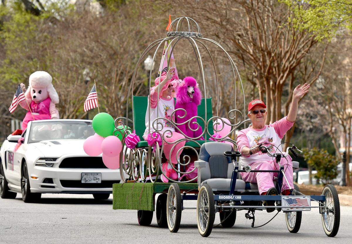Paul Williams pedals his way down Mulberry Street with his wife Alice and pink poodle Cherry Sunday during the 39th Annual Cherry Blossom Parade.
