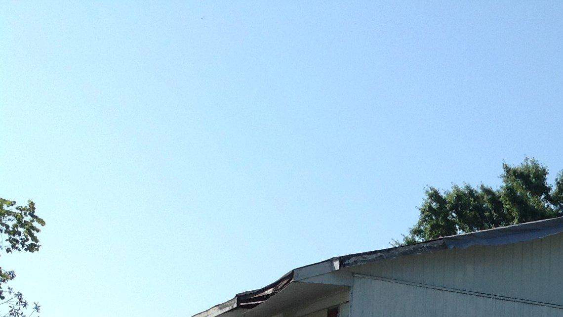 An update on Kings Park