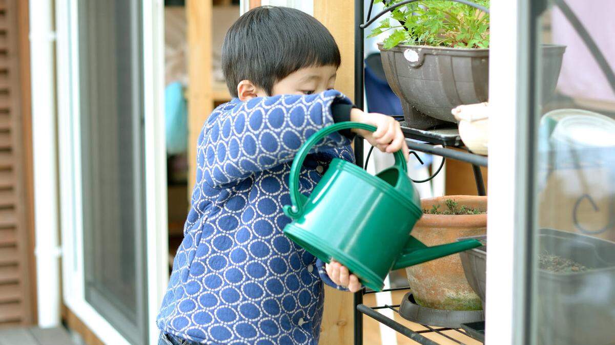 Caring for houseplants can teach children many of the same lessons they would learn while growing plants outdoors.