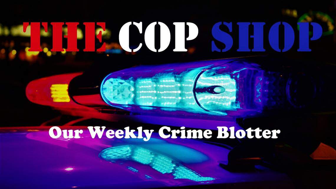 Woman jailed for indecency shed dress after burning trash at Macon gas mart, cops say