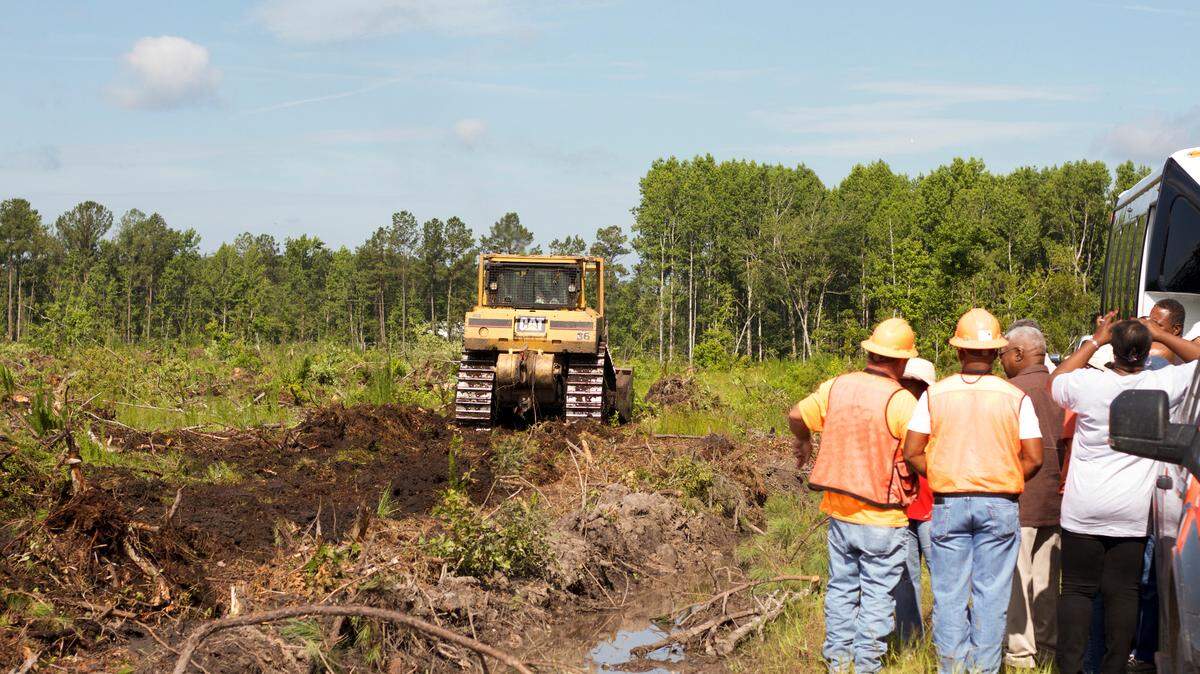 A Georgia field where timber was harvested in June 2018.