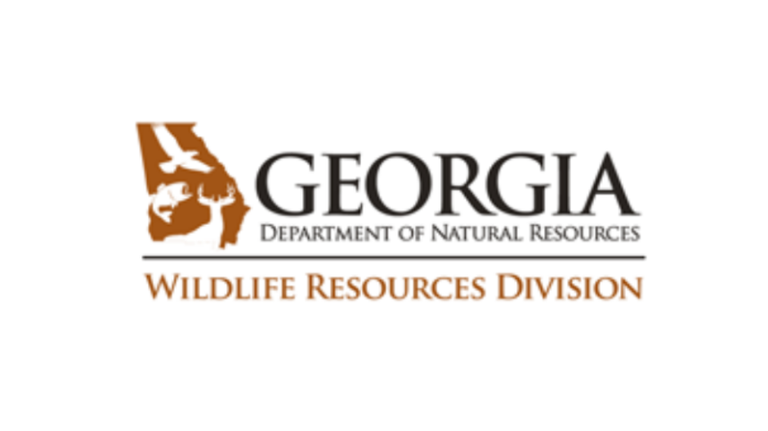 Georgia biologists peeked in a hole and saw this instead of the animal they expected