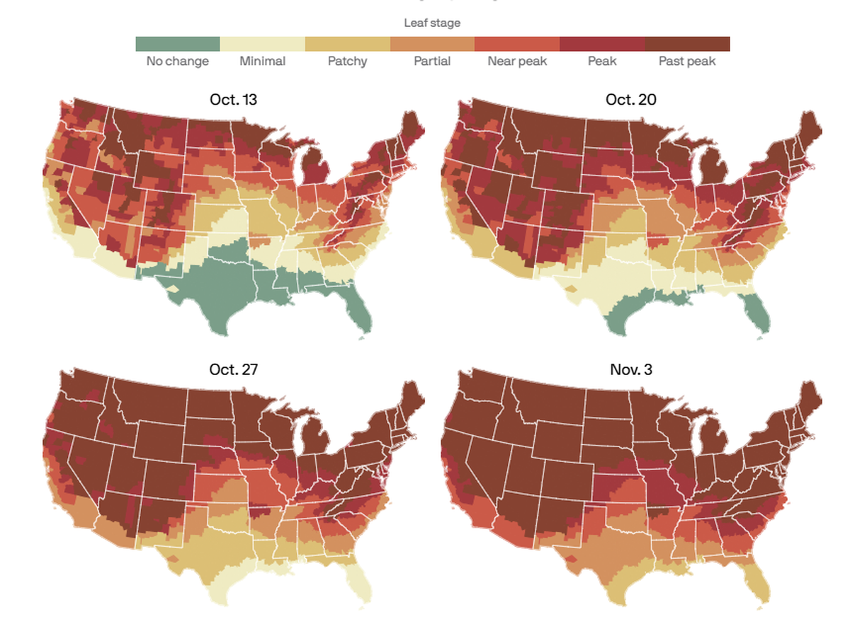 When does fall foliage peak for 2025?