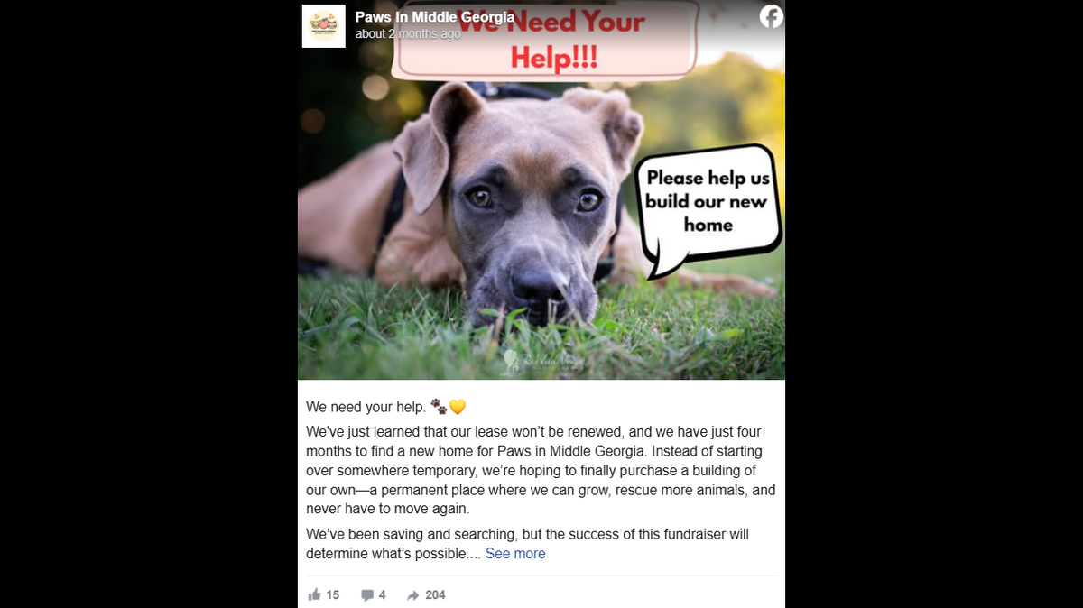 Paws in Middle Georgia is looking for a permanent home. The rescue says its current lease has not been renewed, and now it wants to buy its own space.