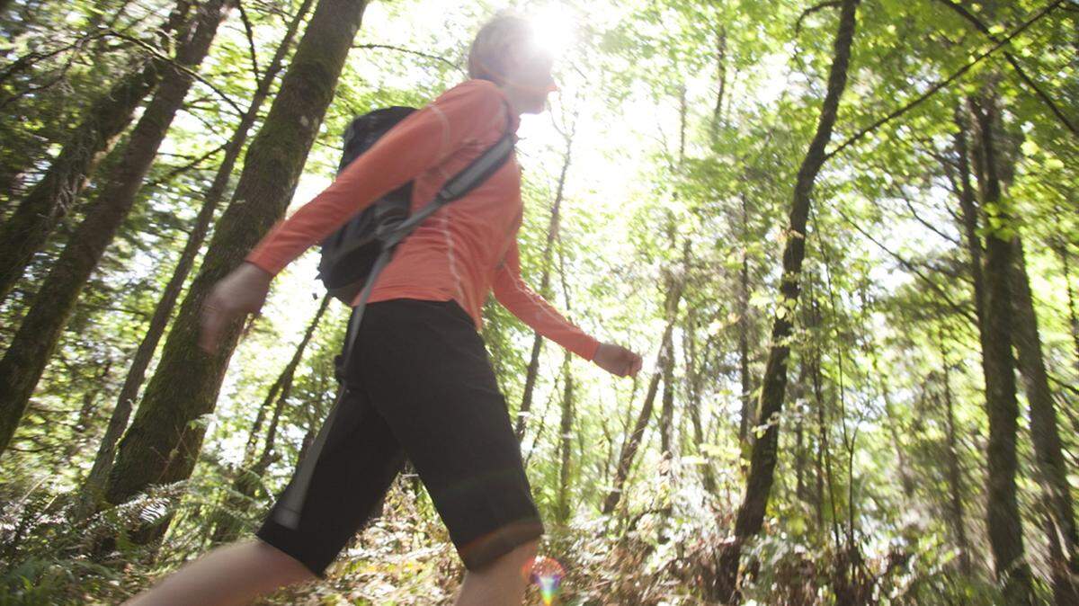 Get outside and explore Georgia's state parks on the first day of 2016.