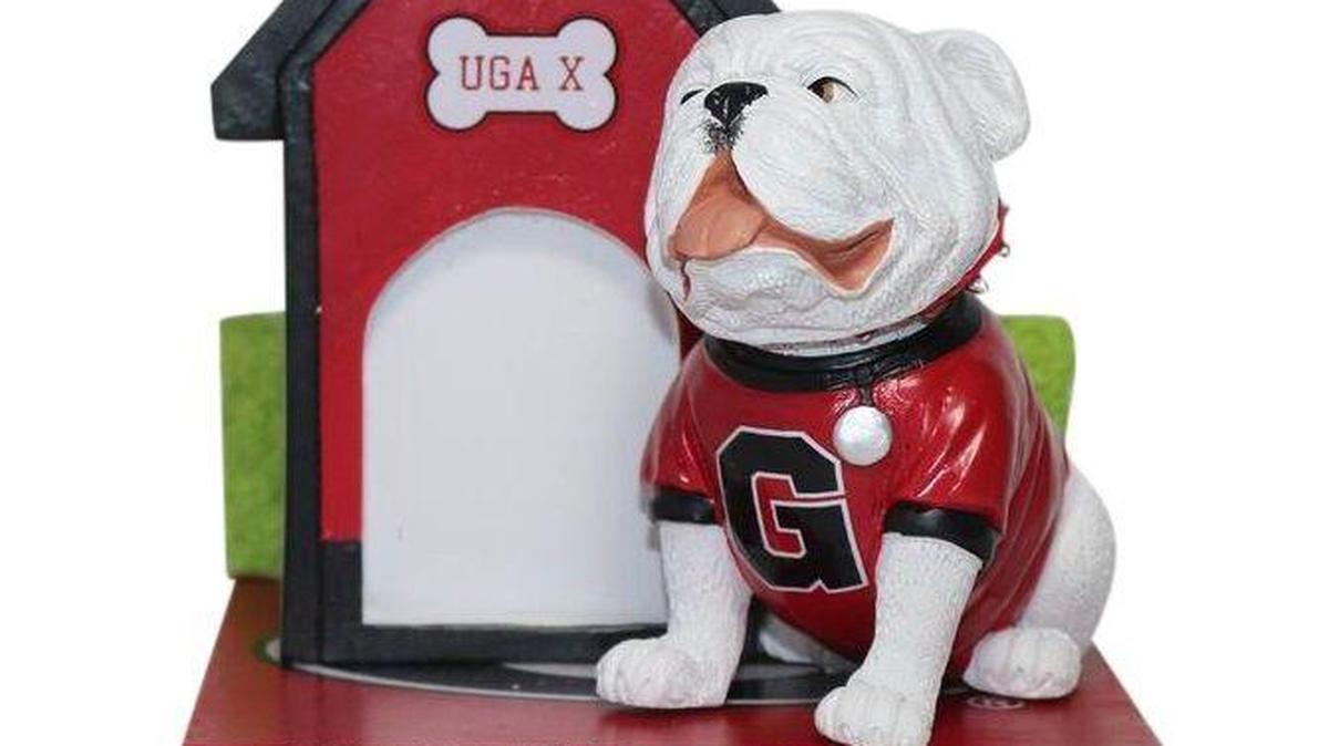 The officially licensed bobblehead of Uga X, the University of Georgia mascot.