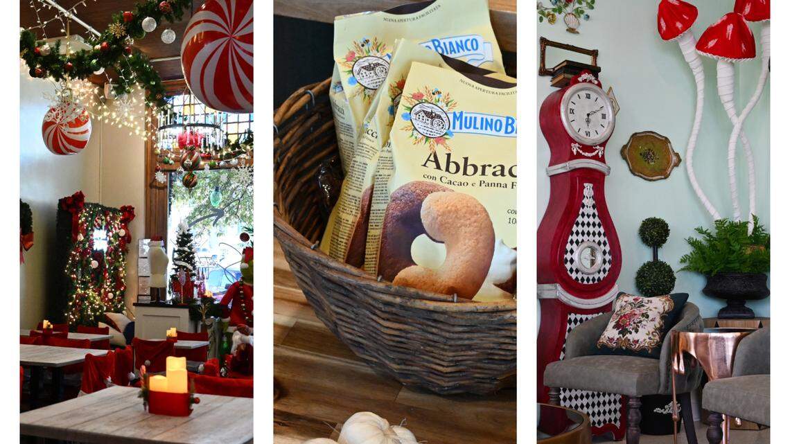 Three new, unique spots in Middle Georgia to check out over the holidays