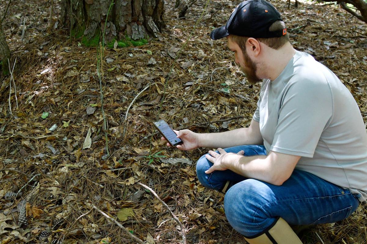Justin Hockey takes a photo of plant species and inputs it into nature observation app iNaturalist as a part of the Pride in Our Parks event on Saturday, June 8, 2024, at Ocmulgee Mounds National Historical Park in Macon, Georgia. Volunteers walked through areas of the park, took photos of different plants and uploaded them into iNaturalist to be identified by park employees as native or invasive to the area.