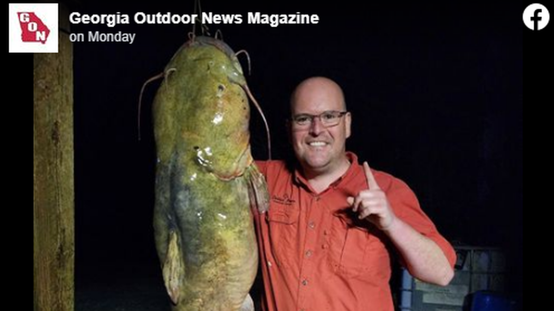 The angler caught the 70-pound “killer catch” on a rod and reel.