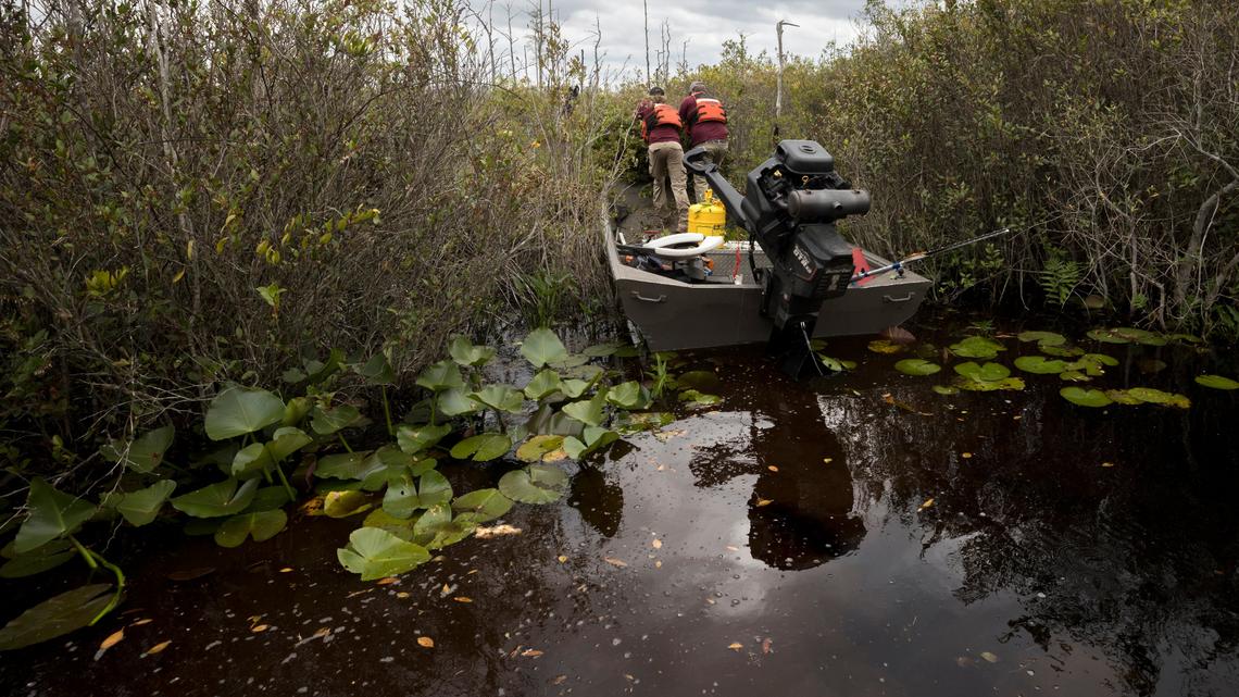 This file photo shows Okefenokee National Wildlife Refuge crew members prune vegetation along a wilderness water trail. Georgia legislators are considering protections for the largest blackwater swamp in the U.S.