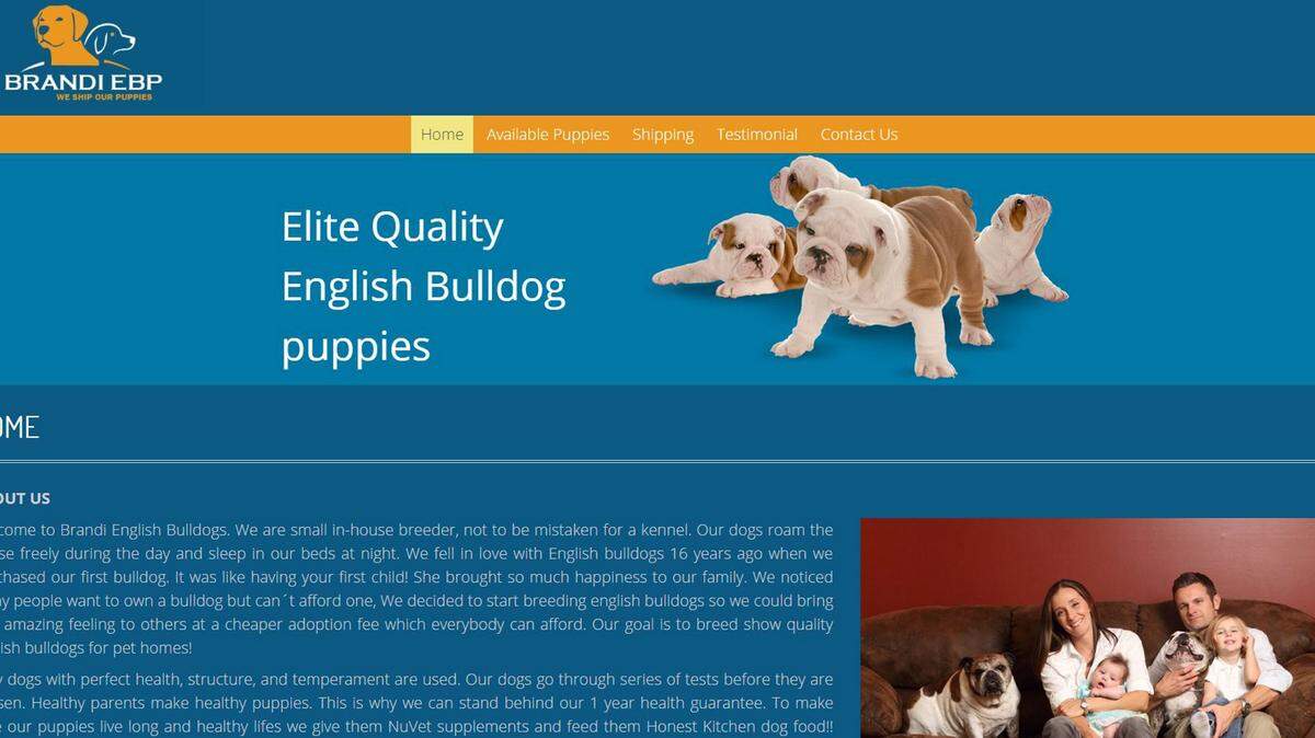 A screenshot of the home page of the website that's reportedly a scam.