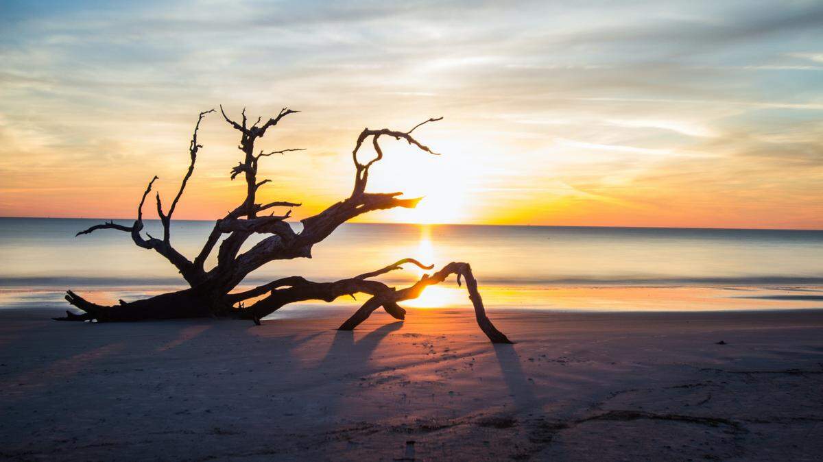 The Georgia beach was praised for its unique landscape and photo opportunities.