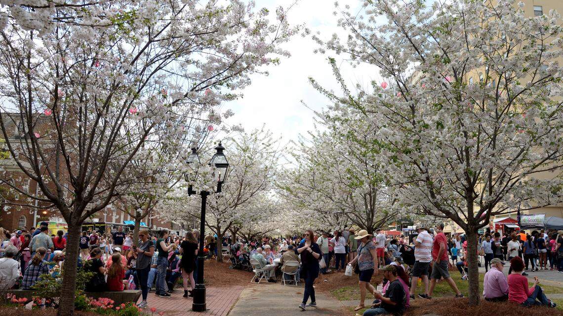 From the Cherry Blossom Festival to Tubman Museum, how Macon tourism drop impacts you
