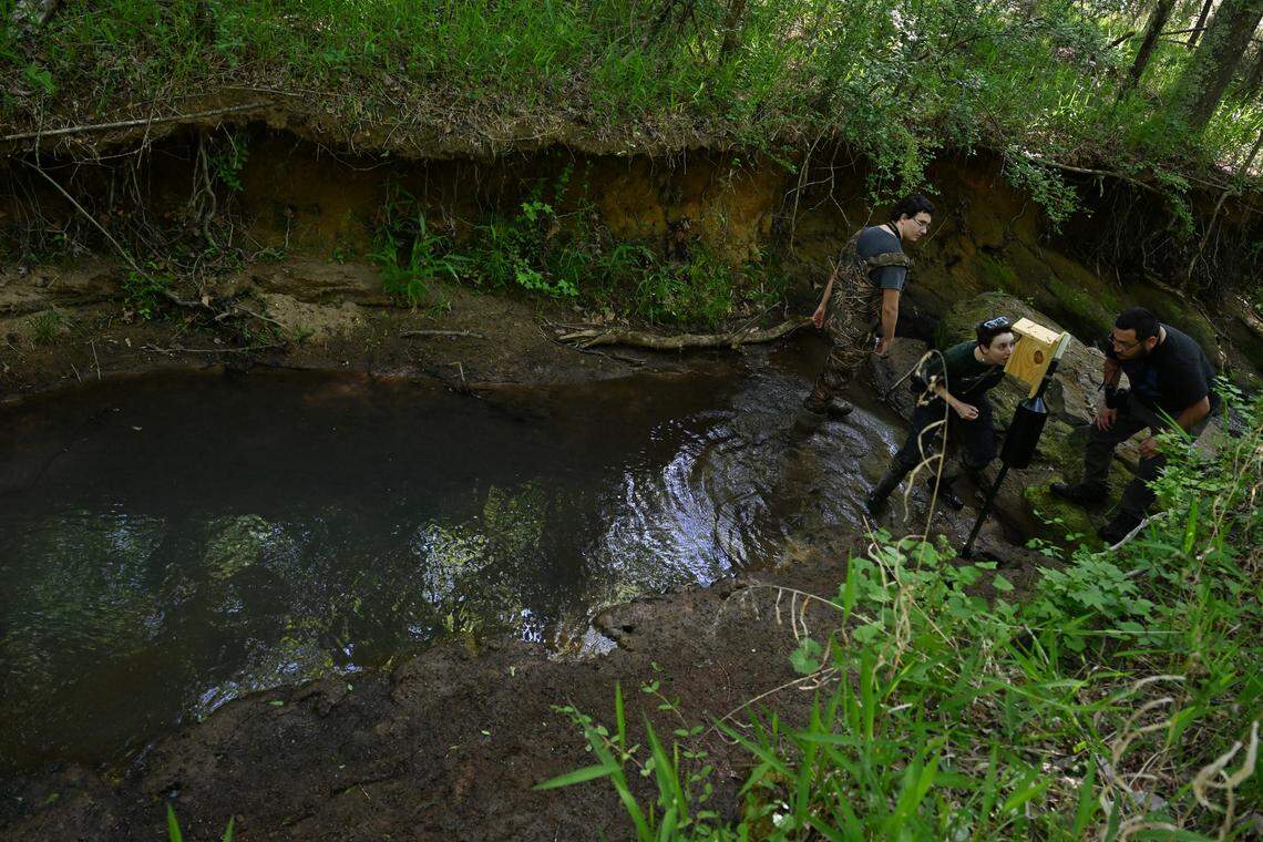 Georgia College and State University assistant professor Michelle Moyer checks a nesting box with students at Andalusia Farm on Friday, April 17, 2026, in Milledgeville, Georgia. The majority of the nesting boxes were installed along the Tobler Creek that runs through the Andalusia Farm property.