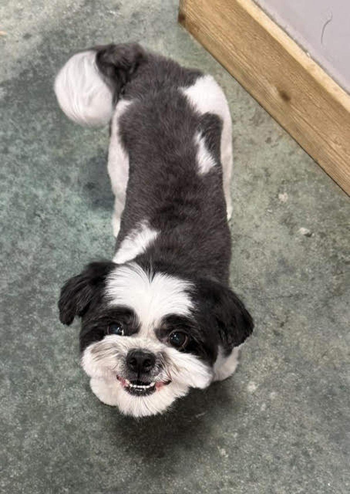 Sebastian smiling.