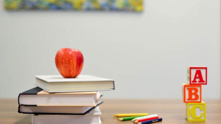 Georgia House, Senate resolve dispute on how much money should go toward school choice