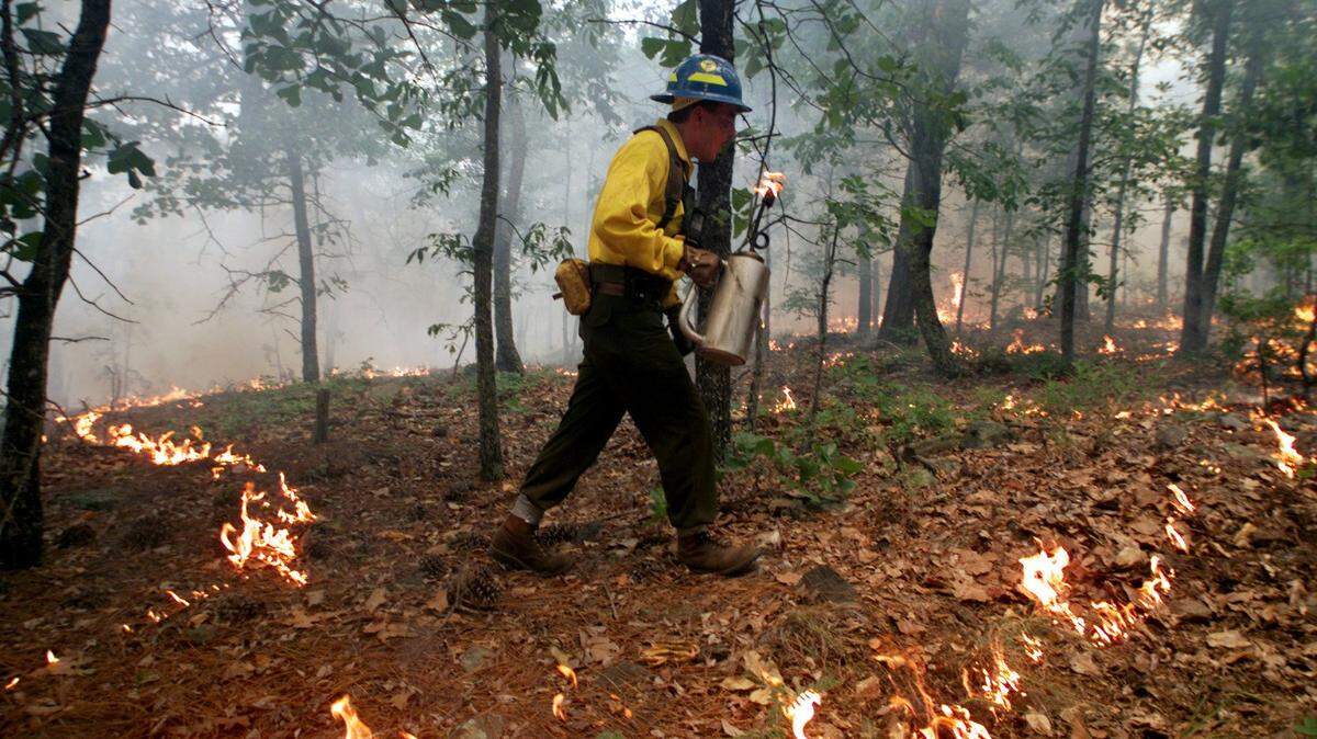 The Georgia Forestry Commission conducts a controlled burn in Upson County in this Telegraph file photo.