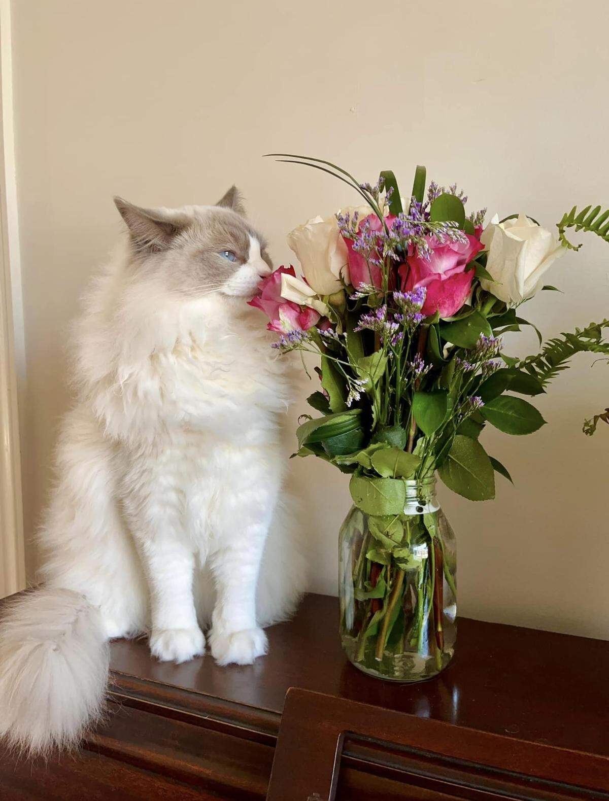 Seymour likes to stop and smell the roses, too.