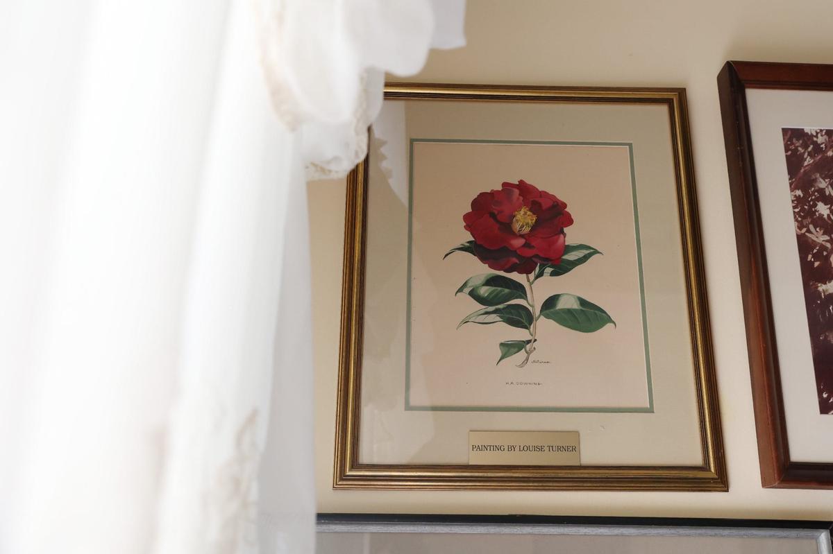 One of eight camellia paintings by Louise Turner from the New Perry Hotel hangs on the wall of the Perry Area Historical Museum on Wednesday, Sept. 11, 2024, in Perry, Georgia. Turner was killed in the Orly Field plane crash that killed over 100 Georgia artists in 1962.