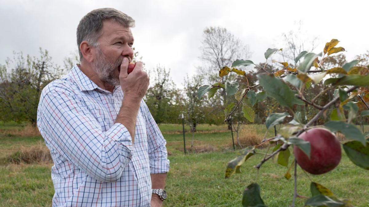 Ray Covington, superintendent of the Georgia Mountain Research and Education Center near Blairsville, takes a bite of a Terry Winter apple, one of the 138 varieties of heritage apples he’s helping to grow at the center’s orchard. The Terry Winter apple was first described by a person from Fulton County.