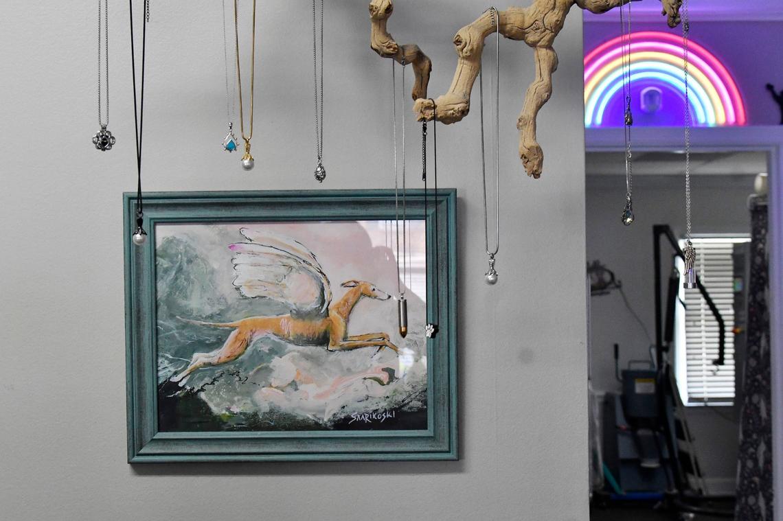 Various necklace options for pet ashes sit in Petamorphosis on Thursday, June 6, 2024, in Macon, Georgia. Petamorphosis in Macon specializes in alkaline hydrolysis for deceased pets, which breaks down a pet’s body in a more environmentally conscious and water based method rather than flame cremation. What remains after the process is just the pet’s bones, which can be kept whole or ground up for owners.