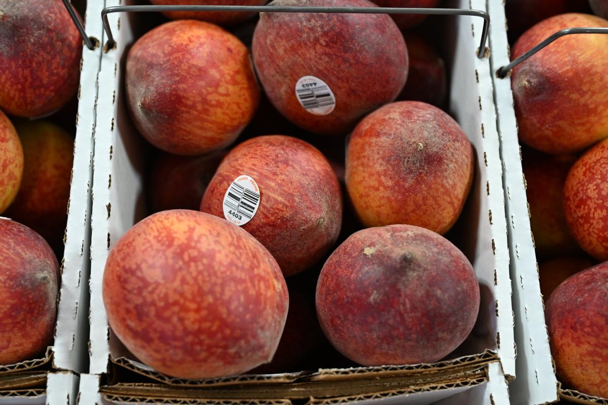 A basket of peaches sits inside of the storefront of Lane Southern Orchards on Thursday, May 8, 2025, in Fort Valley, Georgia. Lane Southern Orchards grows 35 kinds of peaches throughout the season from May until mid-August.