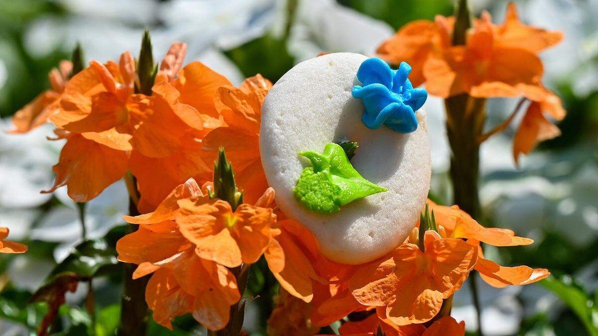 The flower cookies at Wilson’s Bakery in Warner Robins likely originated here sometime in the 1950s when Norwegian-born baker Isak Nygaard opened the bakery that for 40 years bore his name in Miller Hills Shopping Center on Watson Boulevard. The famed, melt-in-your-mouth cookies now sell for $10 a dozen at what is now Wilson’s Bakery.