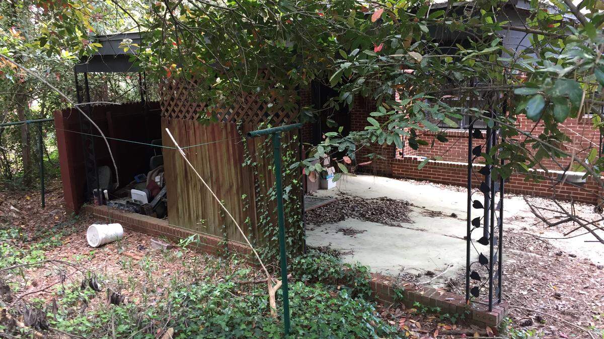 Faces of Blight: Can she save her ‘wonderful neighborhood’ where she’s lived since 1965?