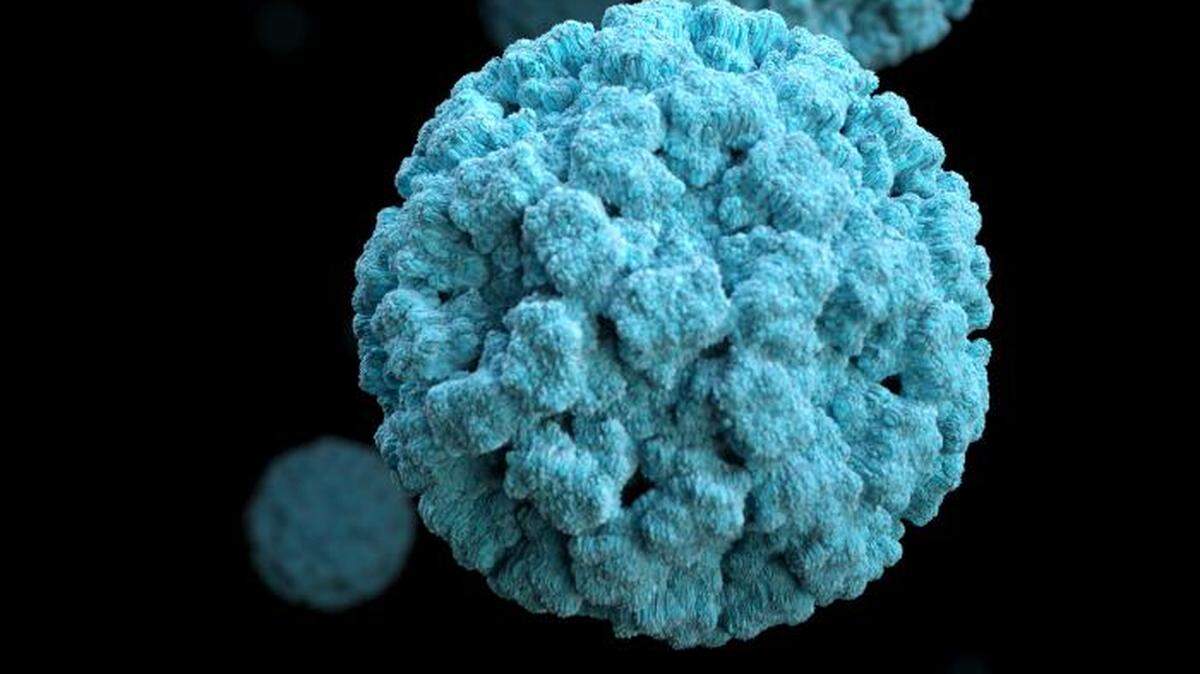 Based on electron microscopic (EM) imagery, this illustration provides a three-dimensional (3D), graphical representation of a number of norovirus virions, set against a black background.