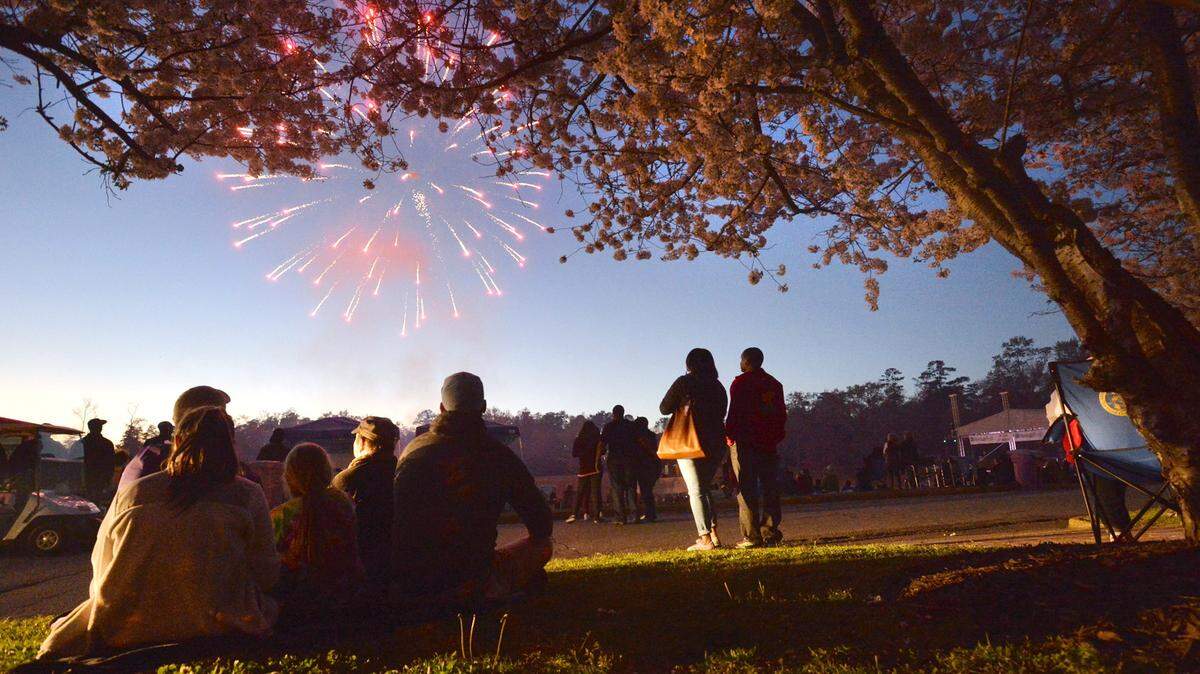 Visitors watch the fireworks display during the Party on the Green event at Wesleyan College during a previous Cherry Blossom Festival.