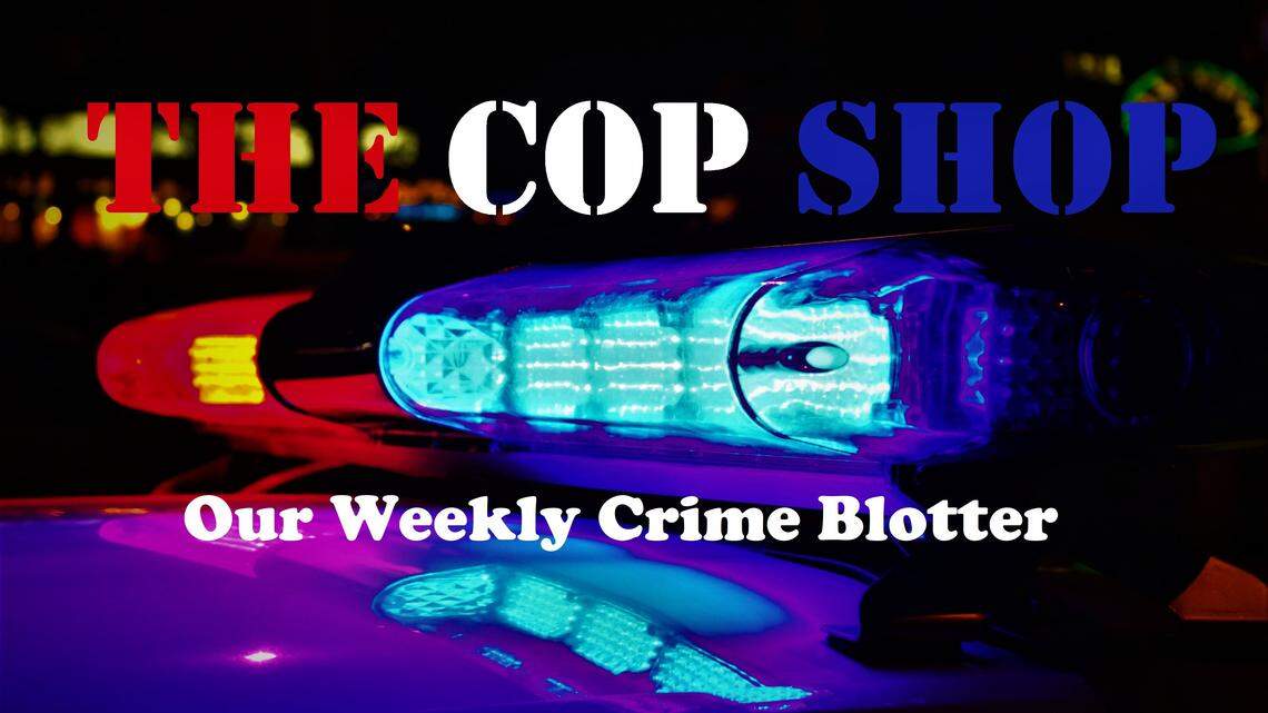 COP SHOP: Macon man struck with pole in argument over his mother’s car keys, cops say