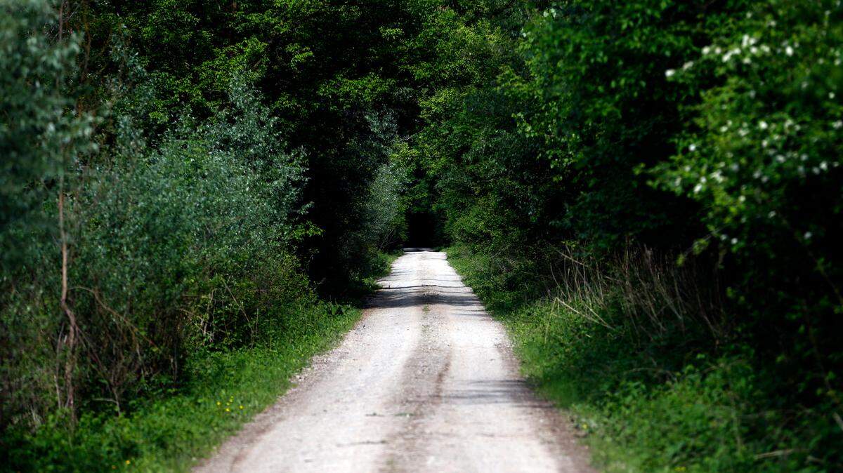 The motorists noticed something on the ground on the dirt road (not shown above) and called 911, authorities said. (AP Photo/Darko Vojinovic)
