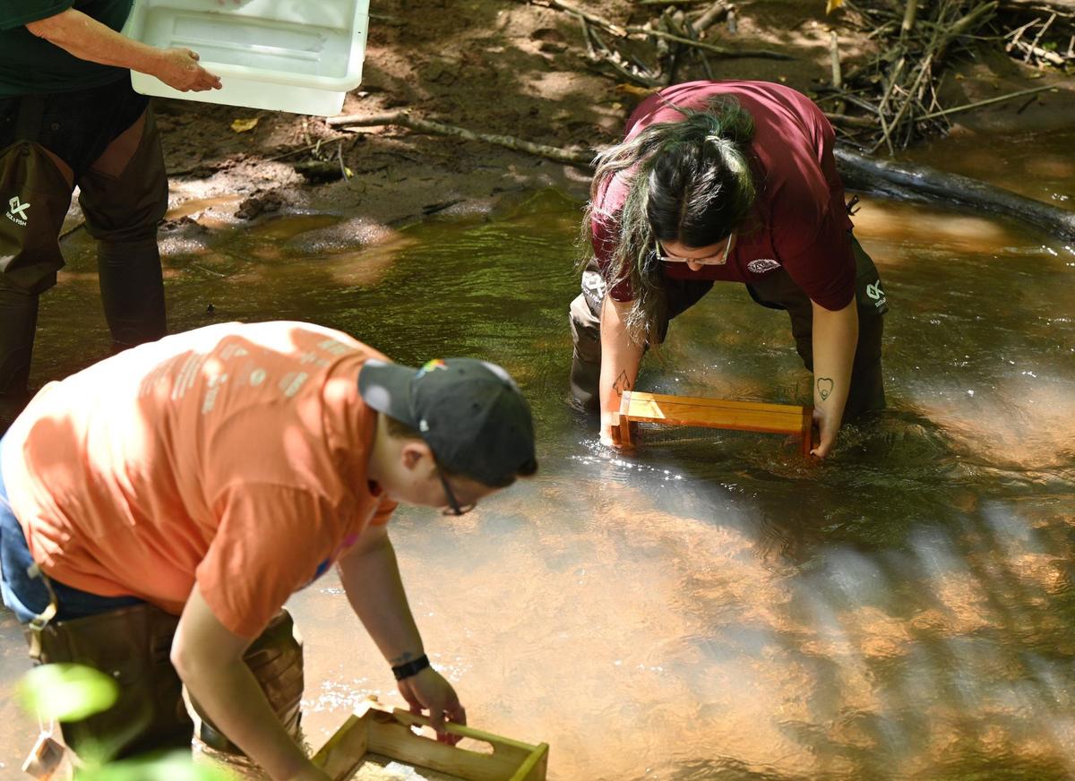 Kimberly Pendragon (left) and Hadley Garrett sift through the creek for dragonfly larvae as a part of the Pride in Our Parks event on Saturday, June 8, 2024, at Ocmulgee Mounds National Historical Park in Macon, Georgia. The Dragon Fly Mercury Project is a national initiative that tests mercury levels in dragonfly larvae to understand mercury risks in the area and was one of two citizen science projects during the event.