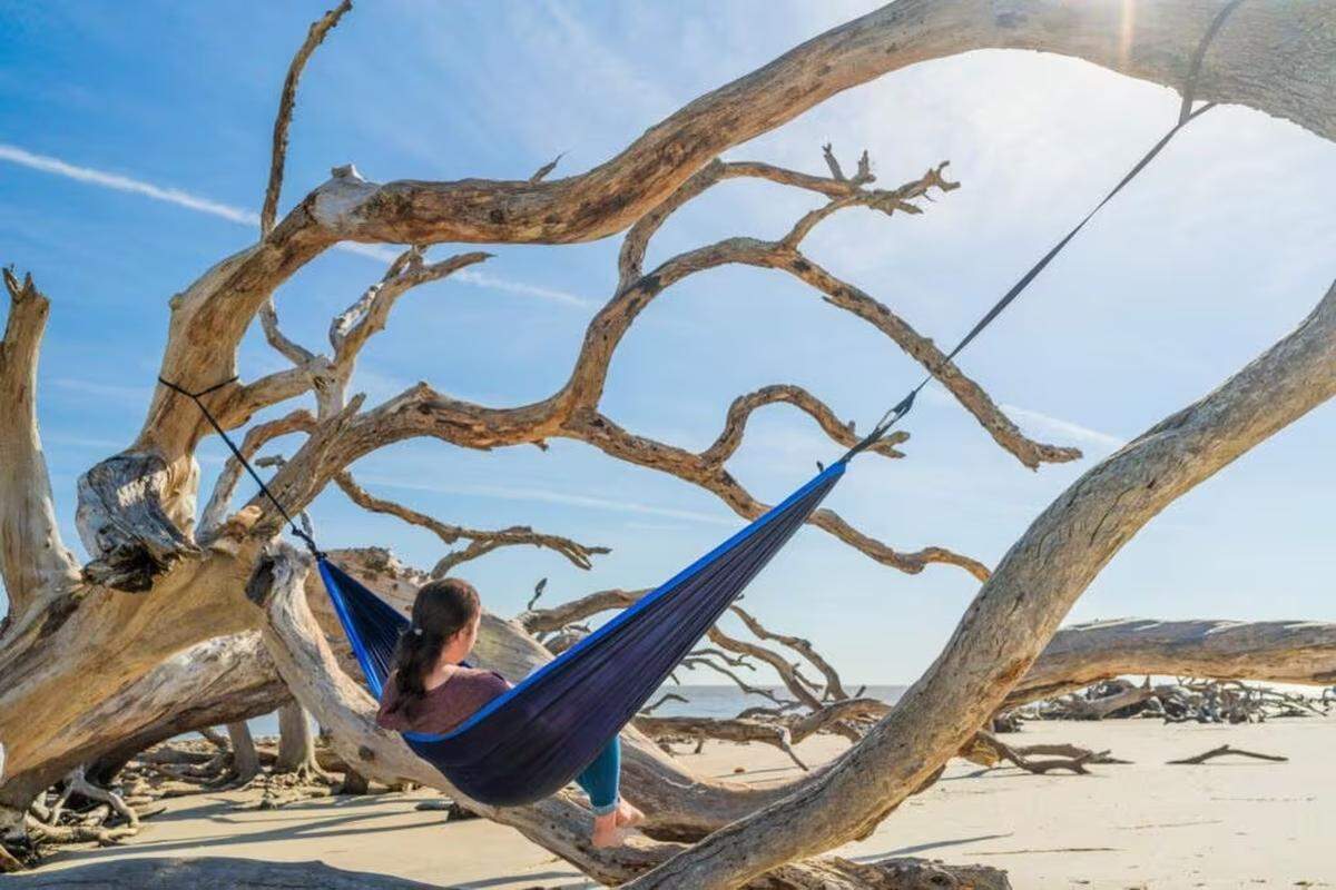 Jekyll Island’s natural beauty attracts 3 million visitors annually.