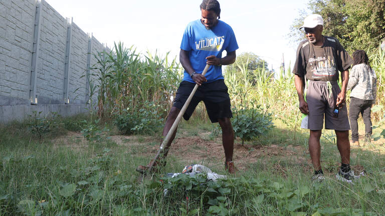 Pleasant Hill community garden aims to create baseline for food growth in Macon