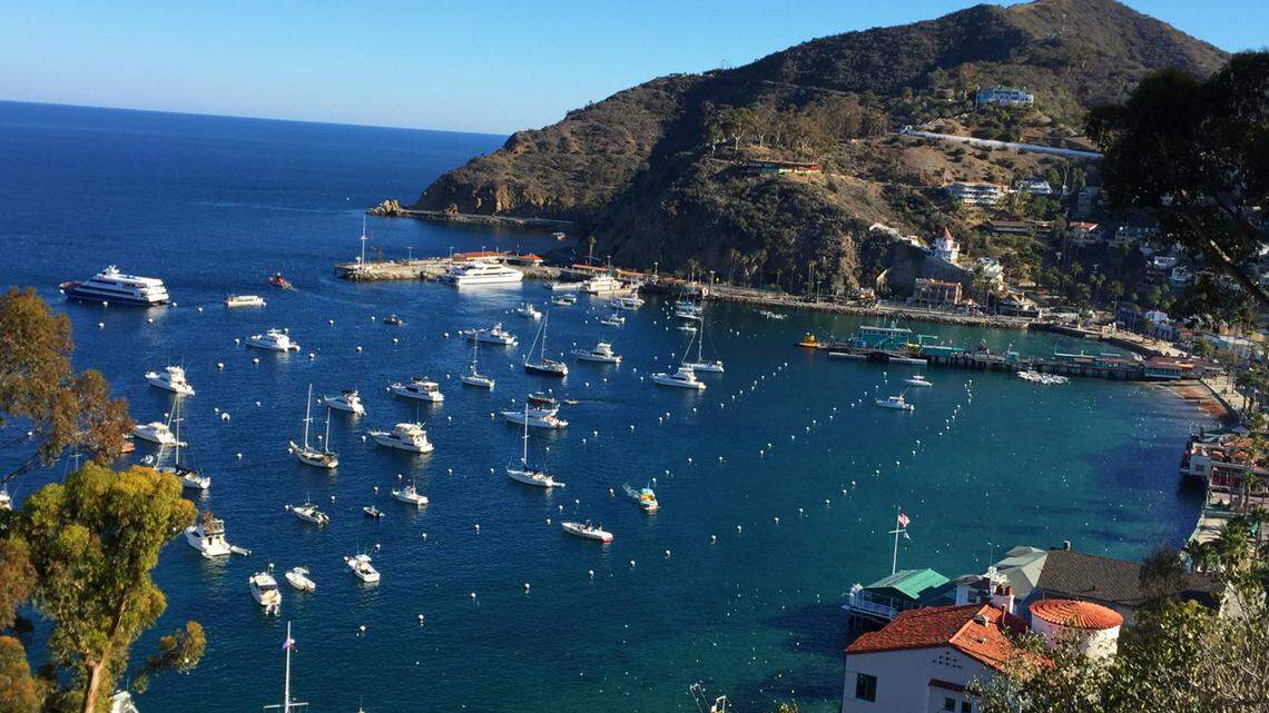 CREATIVE THINKING: Sailing through life's rough patches 