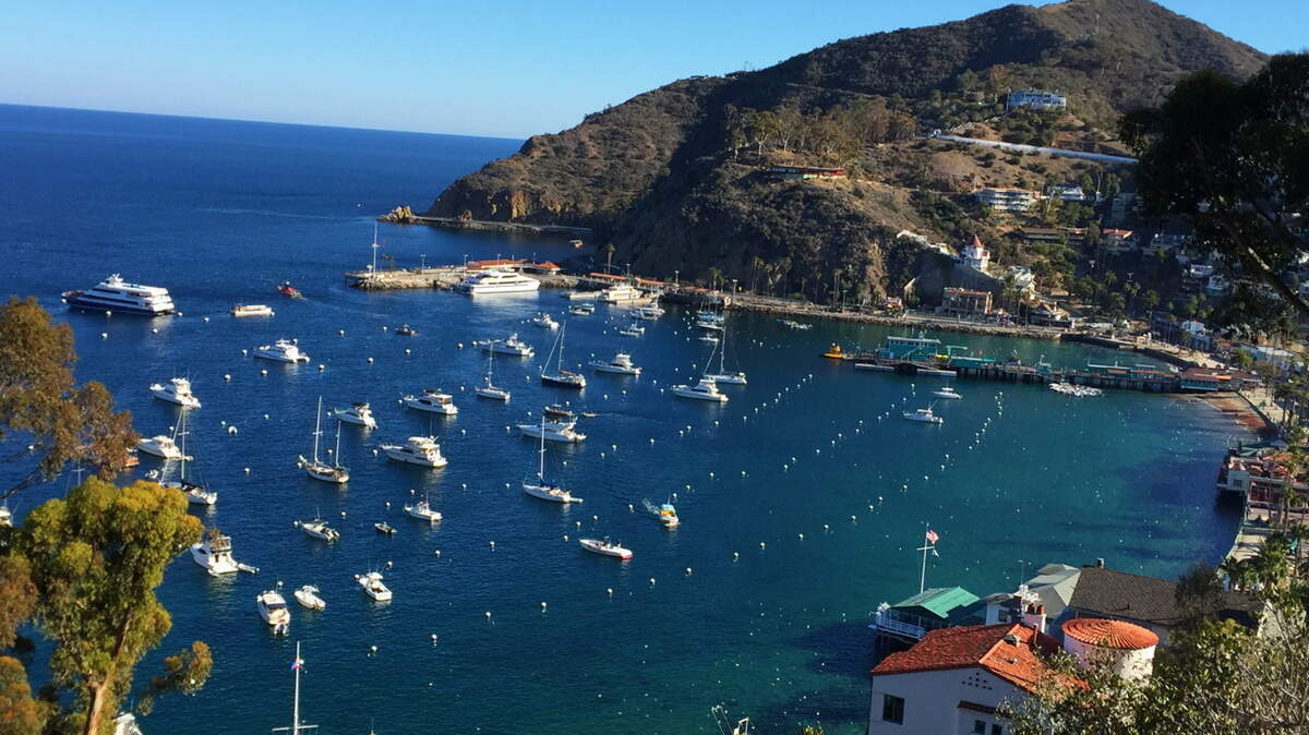 SPECIAL TO THE TELEGRAPH
Mark Ballard and his family visited Catalina Island off the California coast recently.