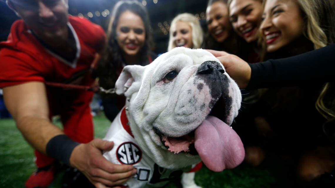 College football notes: Florida wide receiver gets waiver, but no Uga for Georgia