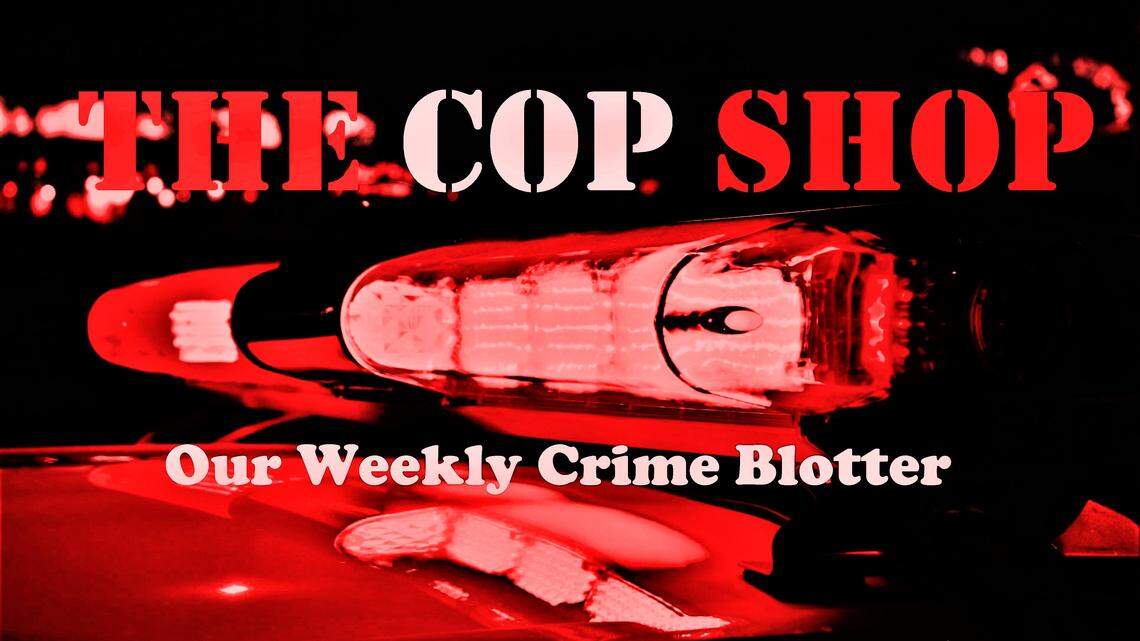 Snake in shower at party and other ‘strange things’ prompt Georgia woman’s call to cops