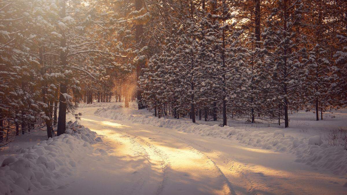 The Farmers’ Almanac has predictions for Christmas; will it be a white Christmas or a mushy mess?