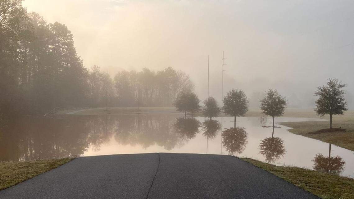 Does your yard flood every time it rains in Georgia? Here are 5 tips from the experts