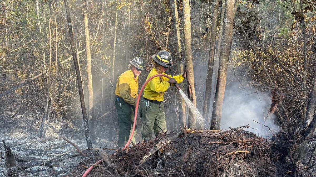 On Tuesday, May 5, the Georgia Forestry Commission responded to 12 new wildfires that burned 42.7 acres statewide, not including the Pineland Road and the Highway 82 fires, which have burned more than 55,000 acres total.