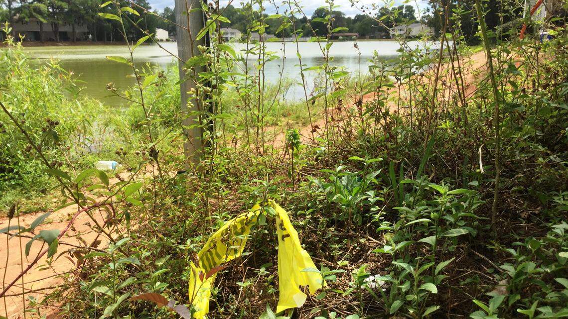 A young man drowned in the lake at Lake Vista Apartments in Warner Robins early Saturday.