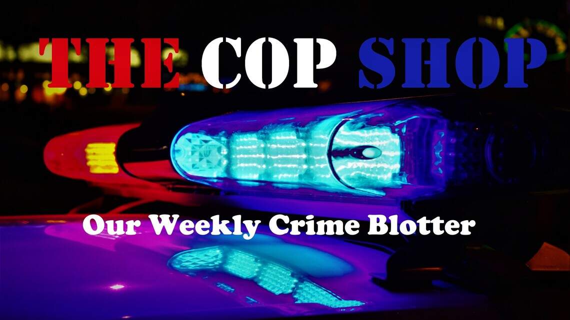 Ga. couple shoplifts from Walmart but can’t slip away, cops say