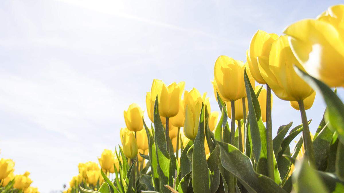 When is spring coming to GA?